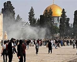 985 مستوطنًا يقتحمون المسجد الأقصى فيما يسمى عيد الأسابيع العبري