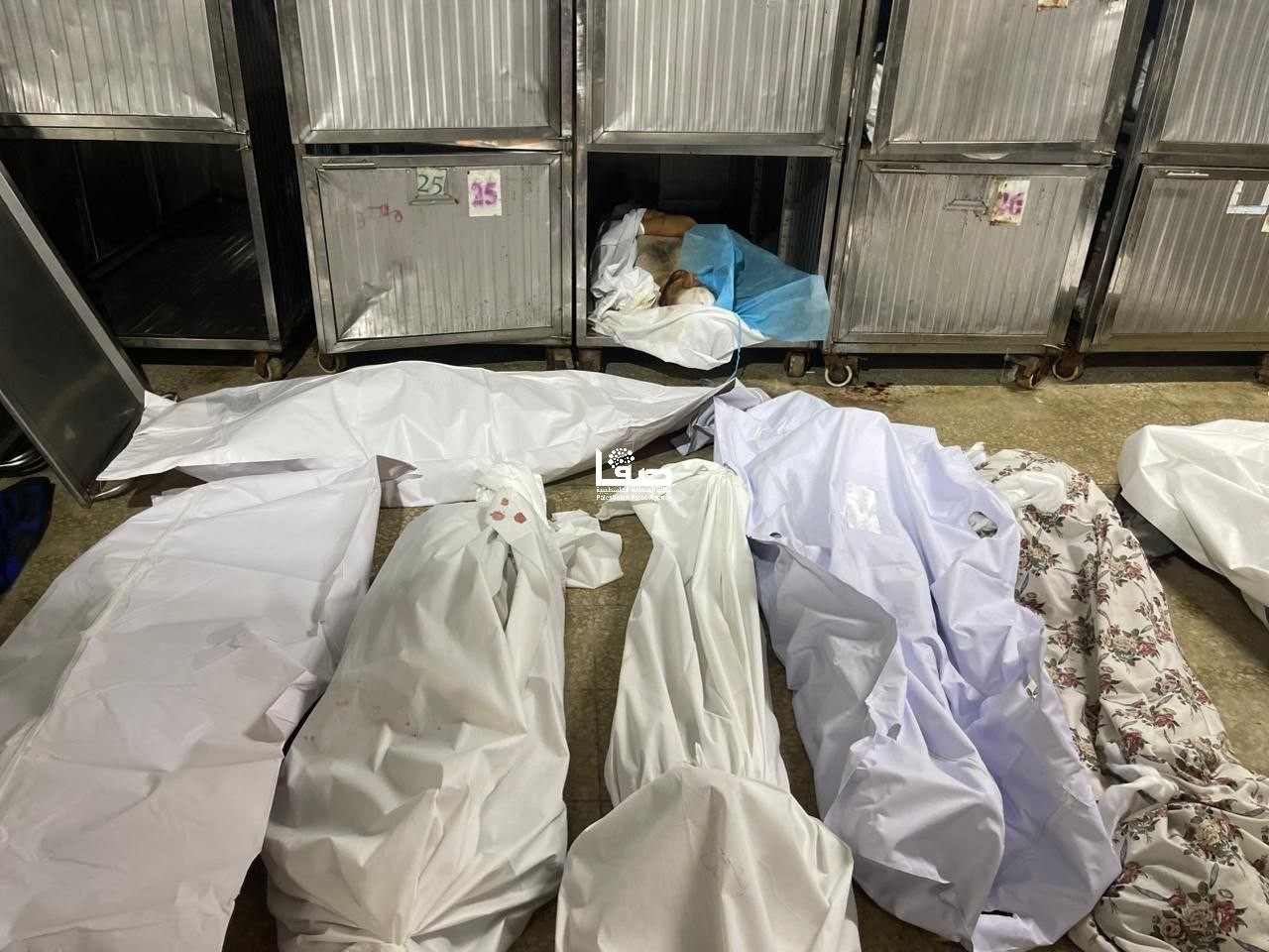 شهداء اليوم