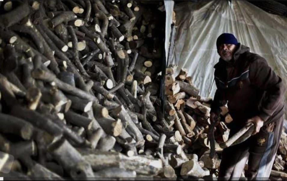 جمع الحطب في غزة.. طريق آخر للموت