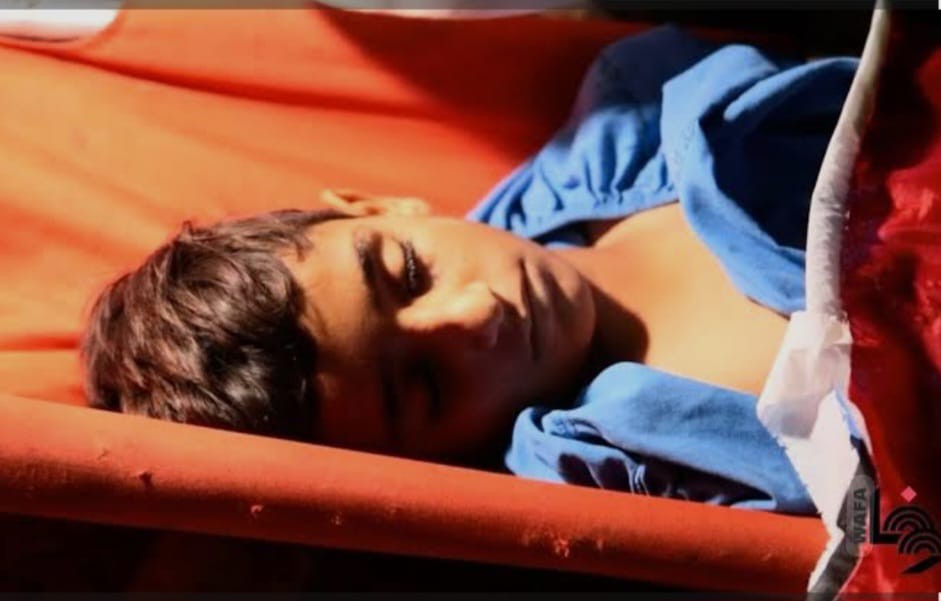 محمد الحلاق.. الطفل الذي علّم الطيور التحليق ثم حلق عاليًا