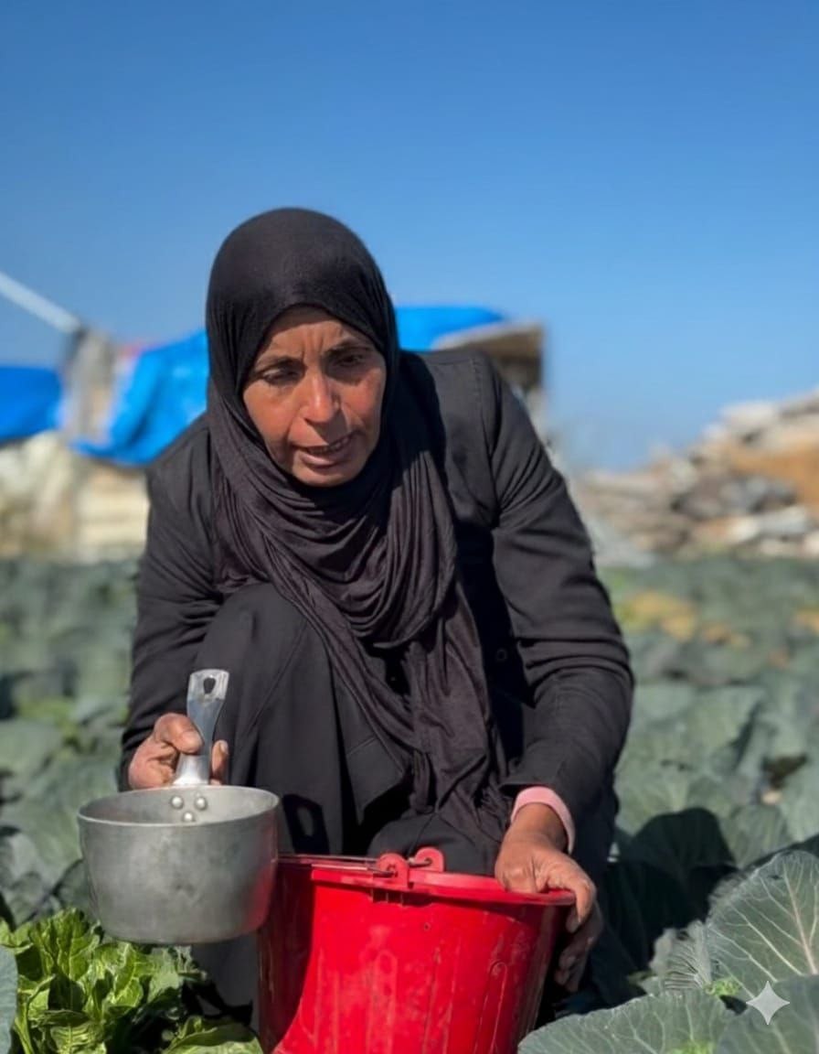 صمود مع كل قطرة..  مزارعة تروي أرضها بيديها بعد أن دمر الاحتلال شبكات الري شمال قطاع غزة 