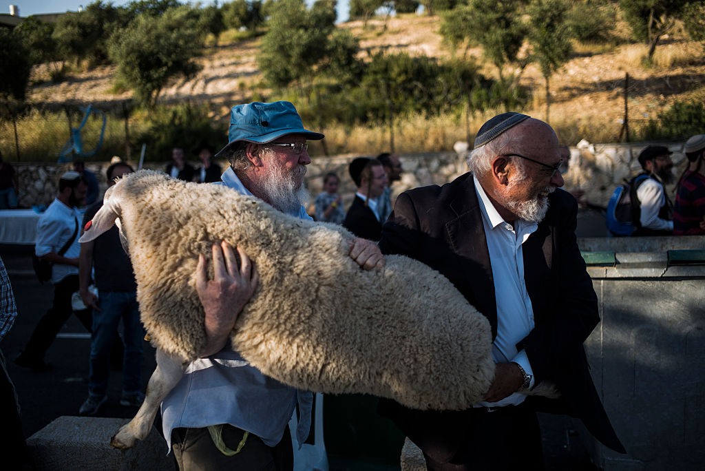 صورة "أرشيفية"