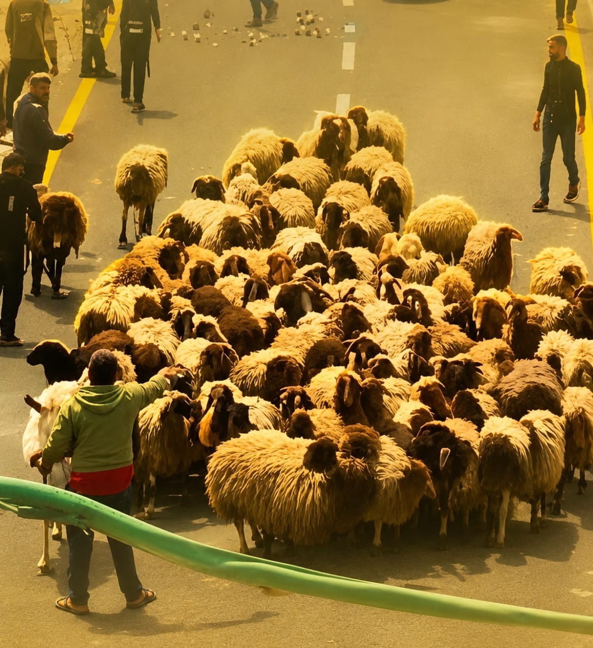 صورة "أرشيفية"