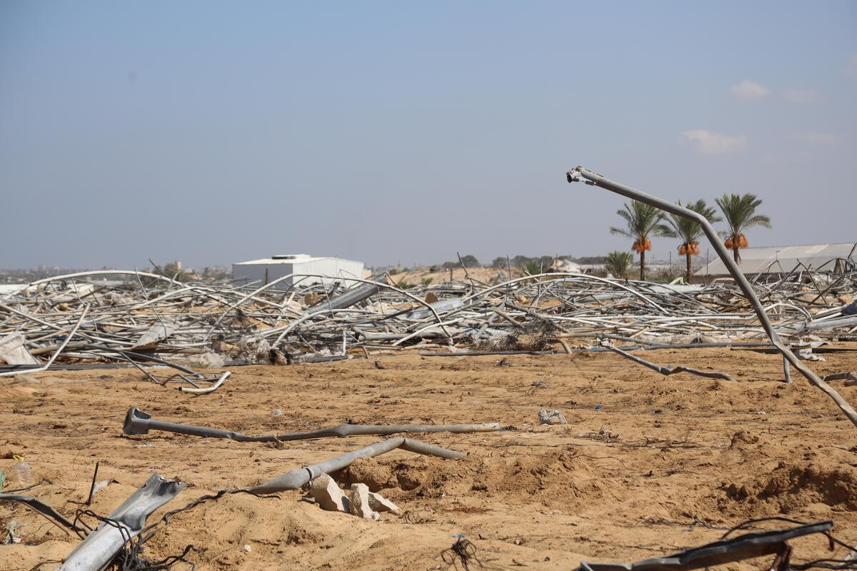 صورة "أرشيفية"