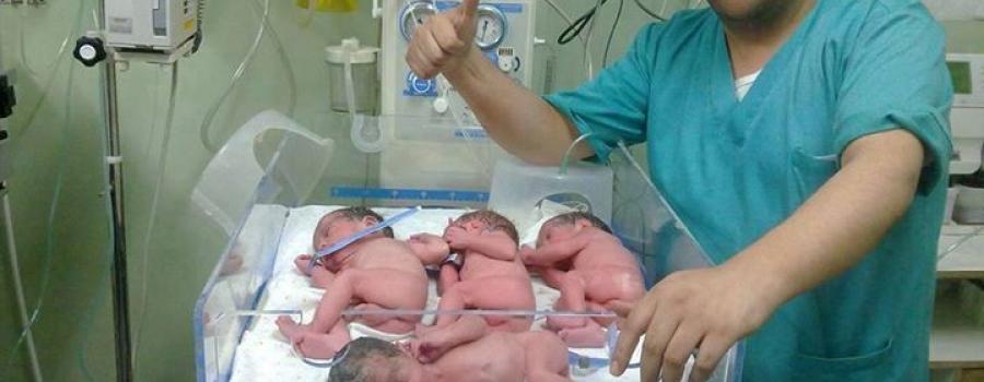 سيدتان تضعان 7 توائم بمدينة نابلس