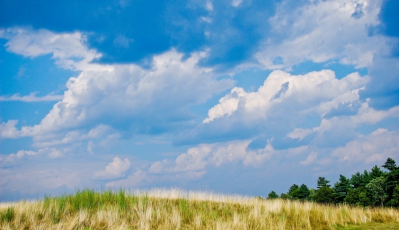 أجواء صيفية عادية