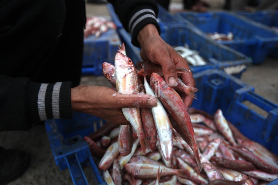 صورة ارشيفية