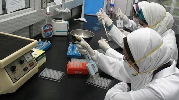 صورة من الارشيف