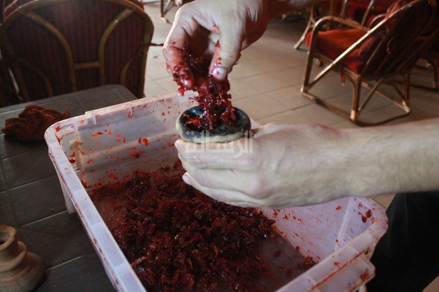 عدسة : محمود أبو حصيرة