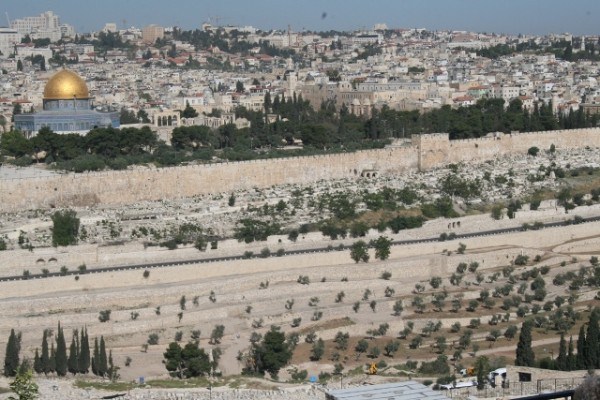 مخطط للاستيلاء على 700 دونم بالقدس