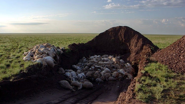 صورة تعبيرية