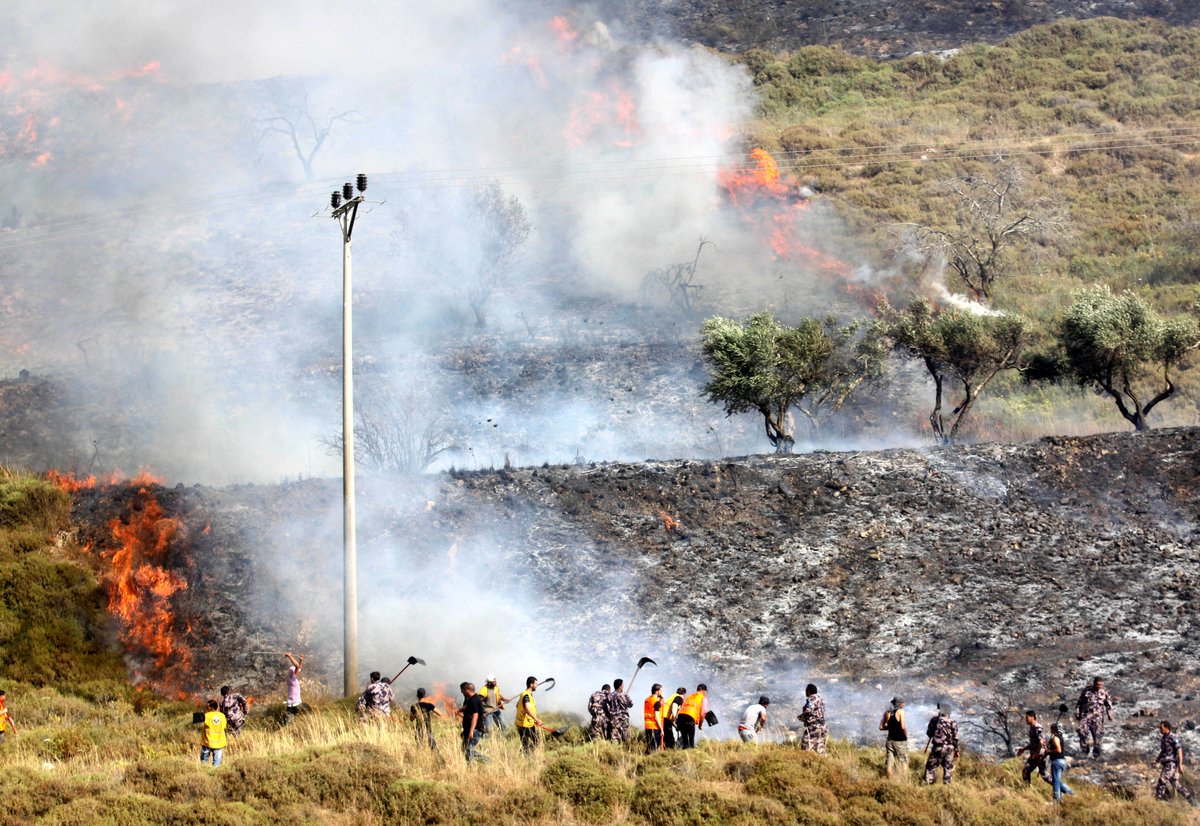 مستوطنون يضرمون النار بأشجار الزيتون في بورين جنوب نابلس