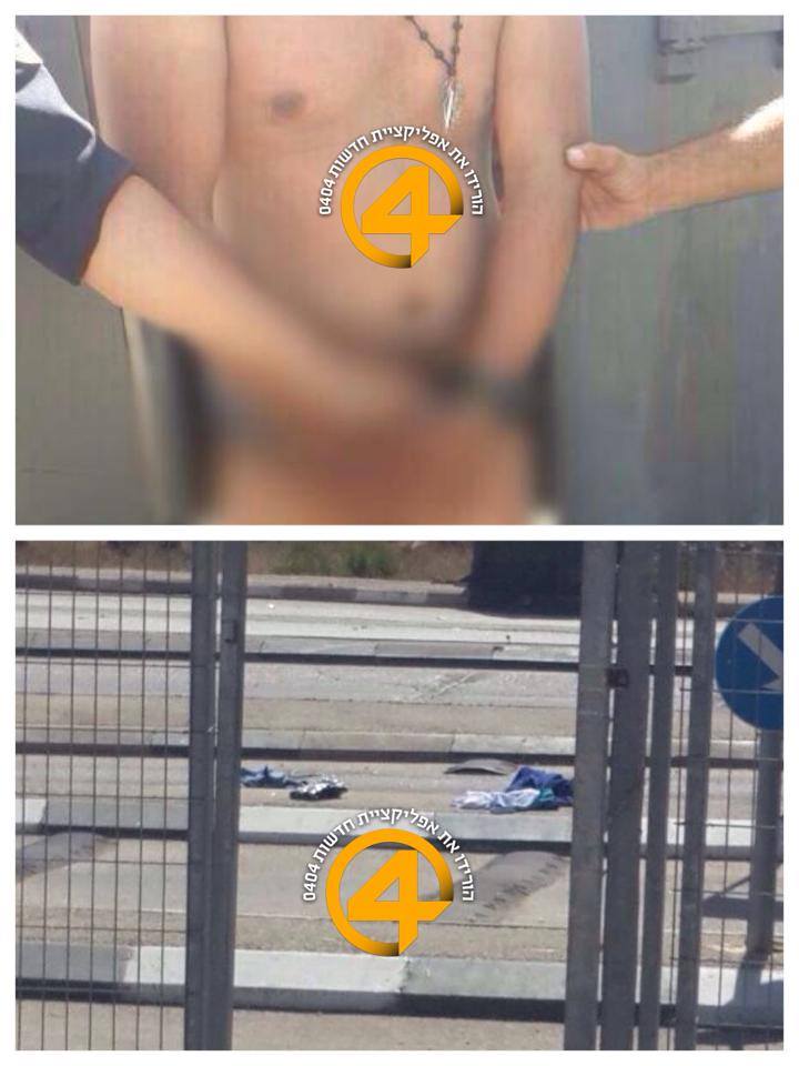 الصورة الأولية للاستشهادي 