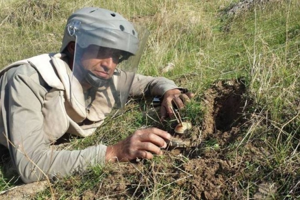 ارشيفية