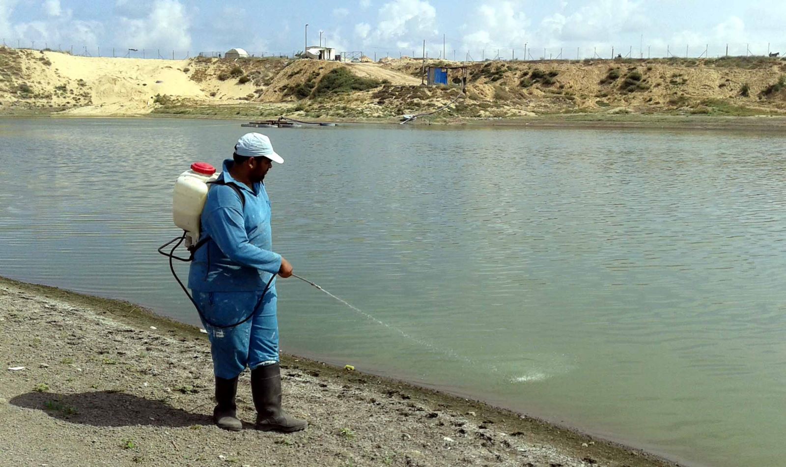 "الأونروا" تطلق مشروعها السنوي "مكافحة البعوض" بغزة