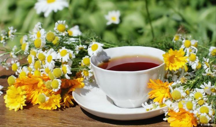 صورة "أرشيفية"