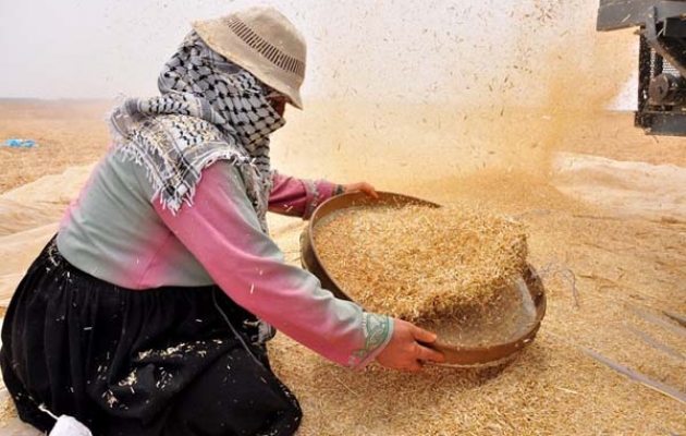 صورة من الأرشيف