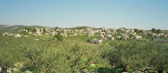  وادي الليمون