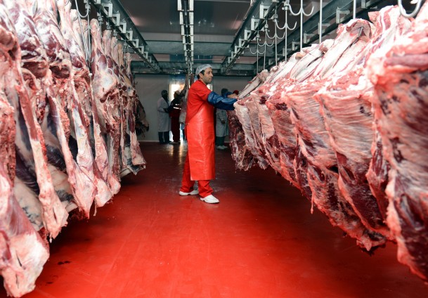 صورة من الارشيف