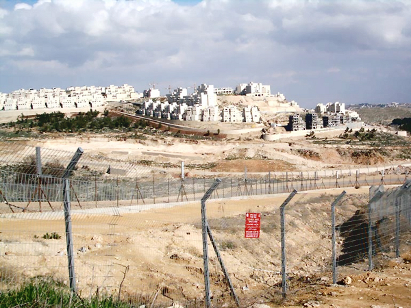 من المتوقع أن تعقد بلدية القدس الاحتلالية جلسة قريبة لدراسة العروض 