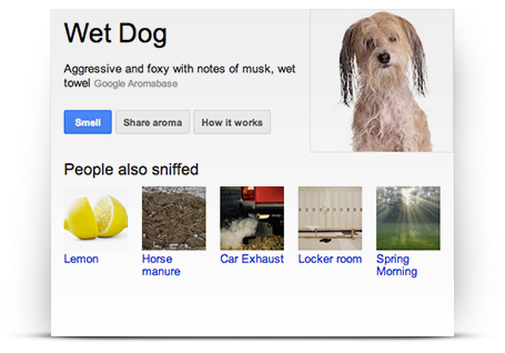 google nose