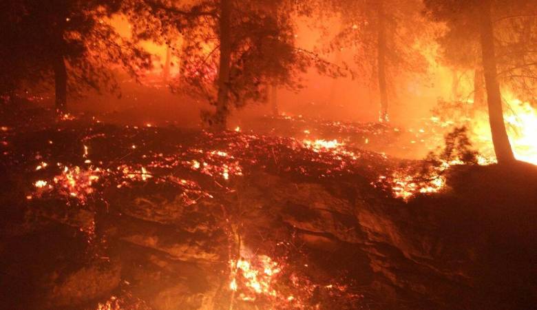 اندلاع الحرائق في شمال إسرائيل "أرشيفية"