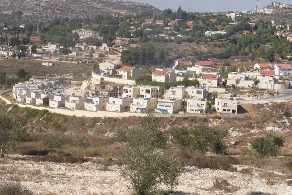صورة من (الأرشيف)