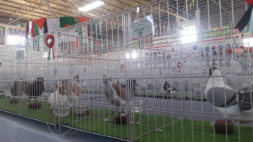 صورة من المعرض