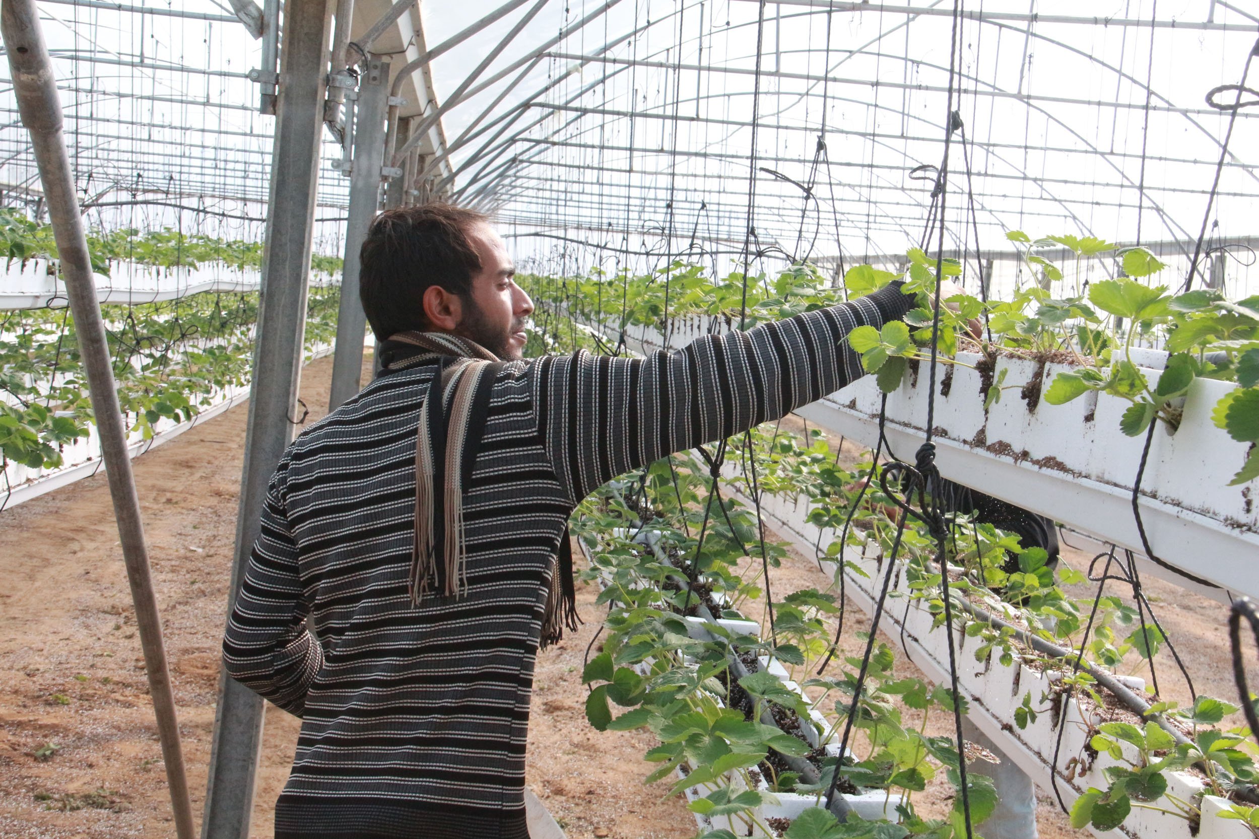 جانب من الفعالية