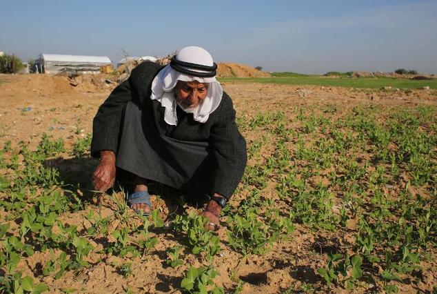 صورة توضيحية