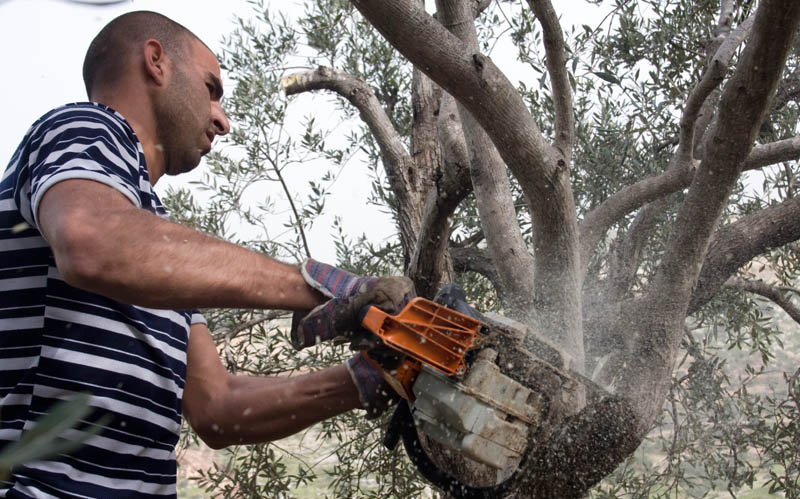 (صورة أرشيفية )