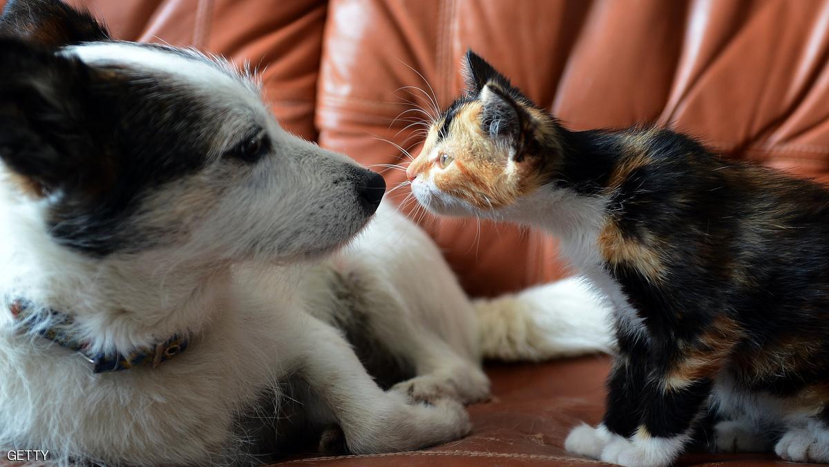 صورة "أرشيفية"