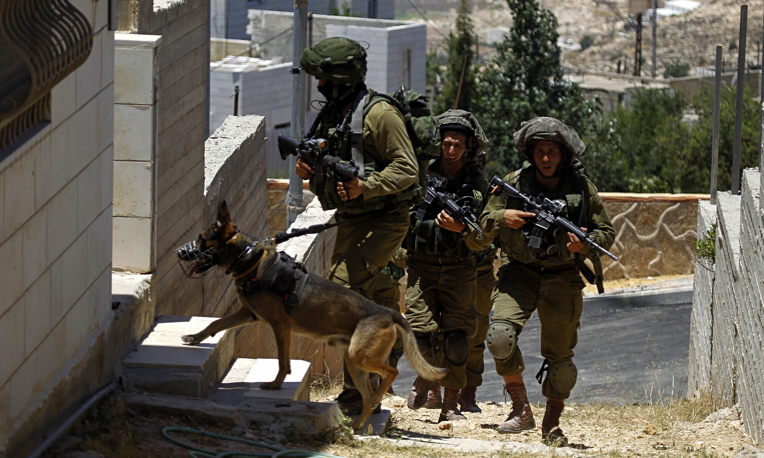 صورة تعبيرية
