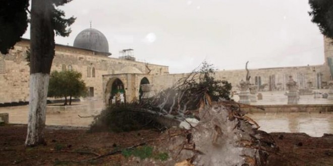 صورة من "الأرشيف"