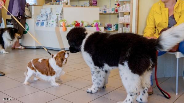 (صورة من الأرشيف)