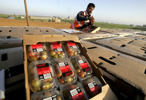 صورة من الارشيف