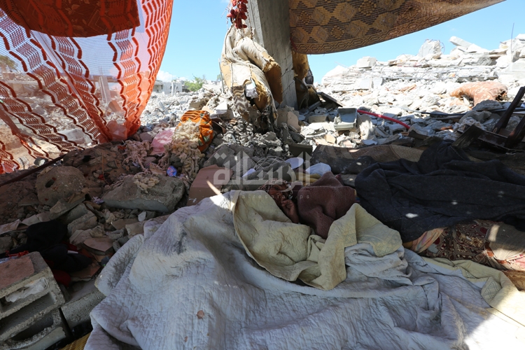عدسة : معاذ مقداد