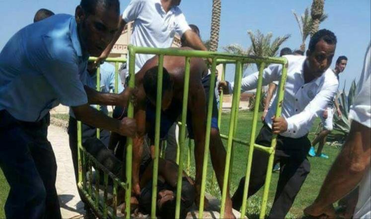 صورة توضيحية