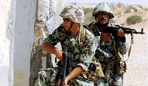 الجيش المصري (الأرشيف)