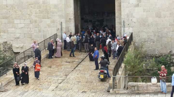 صورة من قلب الحدث