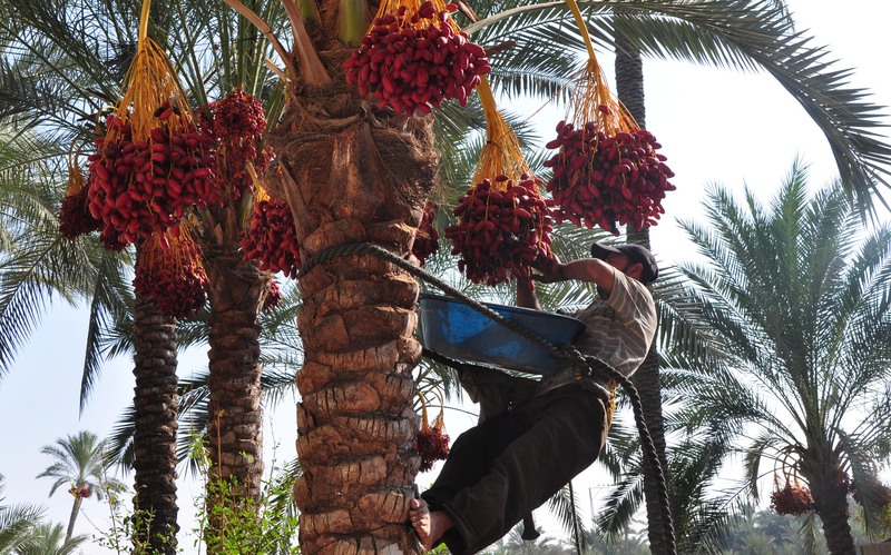 صورة تعبيرية