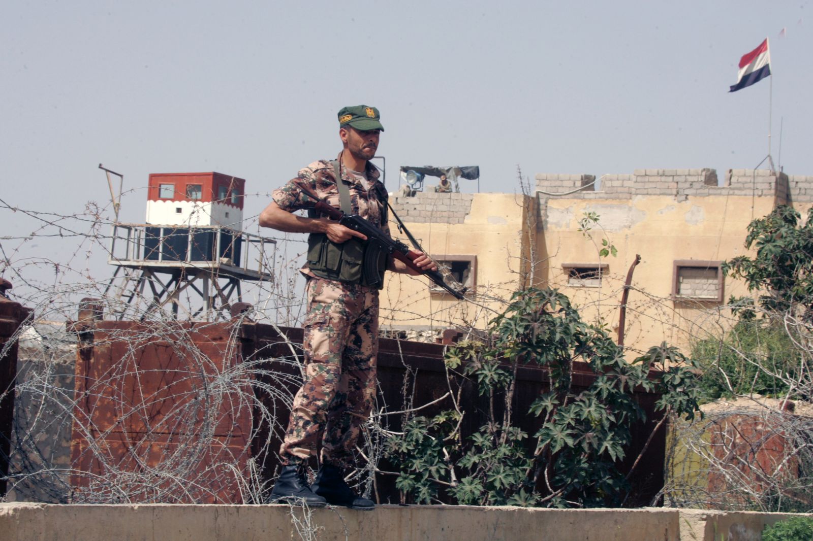 صورة أرشيفية
