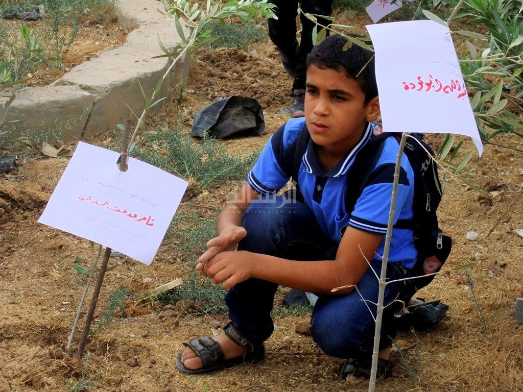 أحد الأطفال يزرع شجرة شهيد