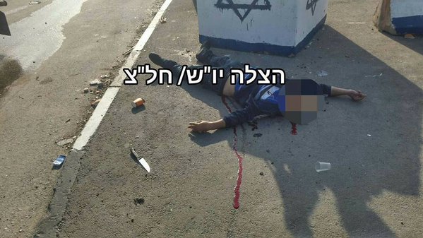 صورة للشهيد 