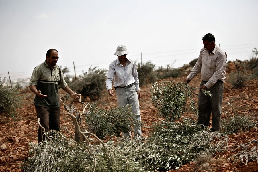 صورة من (الأرشيف)