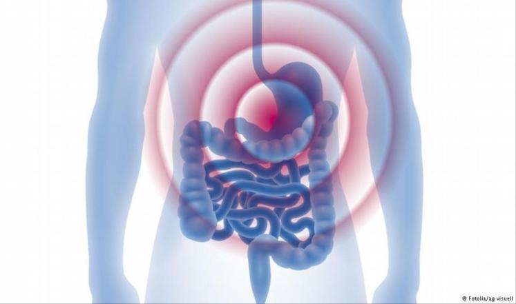 صورة "أرشيفية"