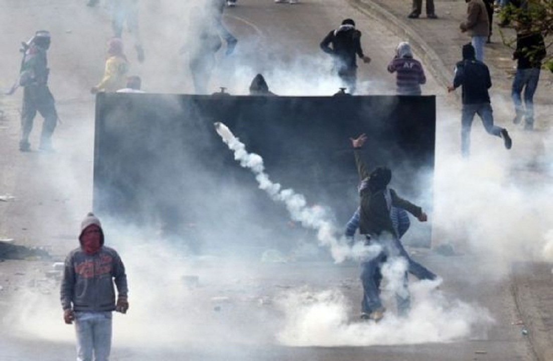 صورة من الأرشيف