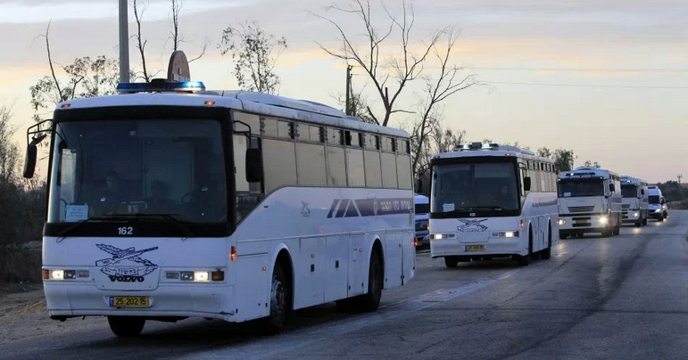 حافلات نقل (اسرائيلية)