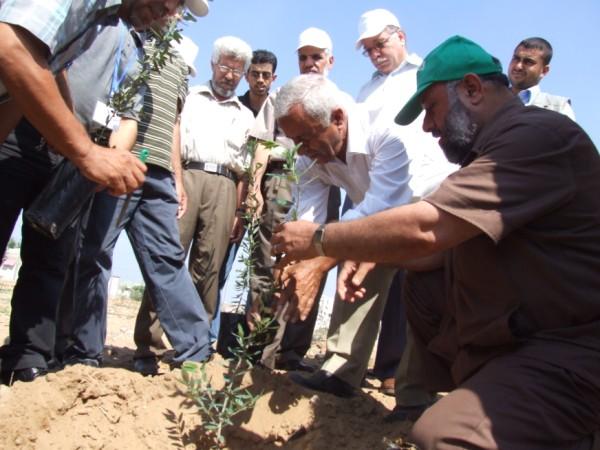 زراعة اشجار في غزة (الأرشيف)