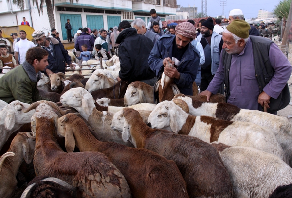 صورة ارشيفية
